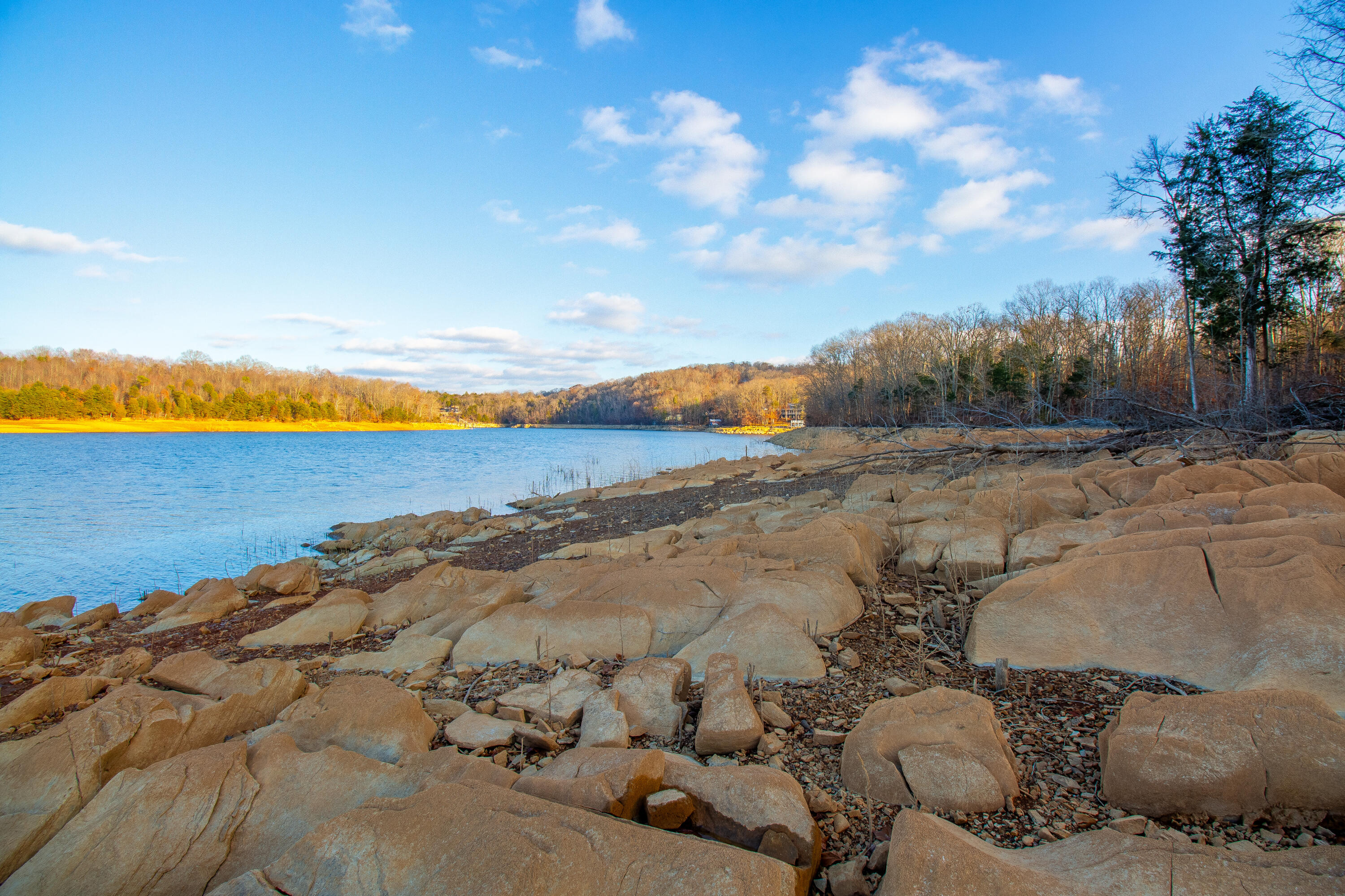 341 Haw Ridge Road Piney Flats, TN 37686 - Photo 61 of 71 IMG_6591-HDR