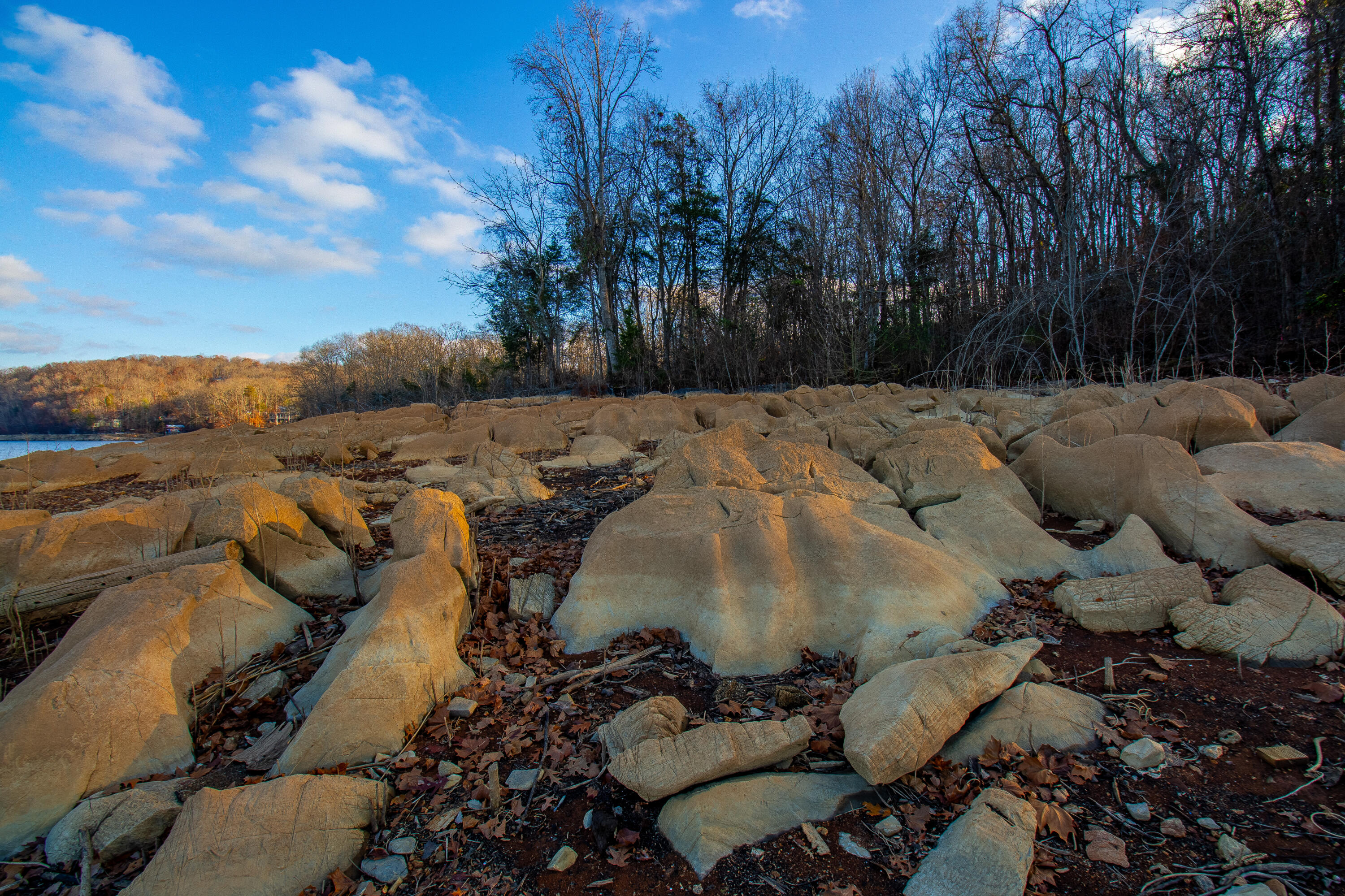 341 Haw Ridge Road Piney Flats, TN 37686 - Photo 62 of 71 IMG_6594-HDR