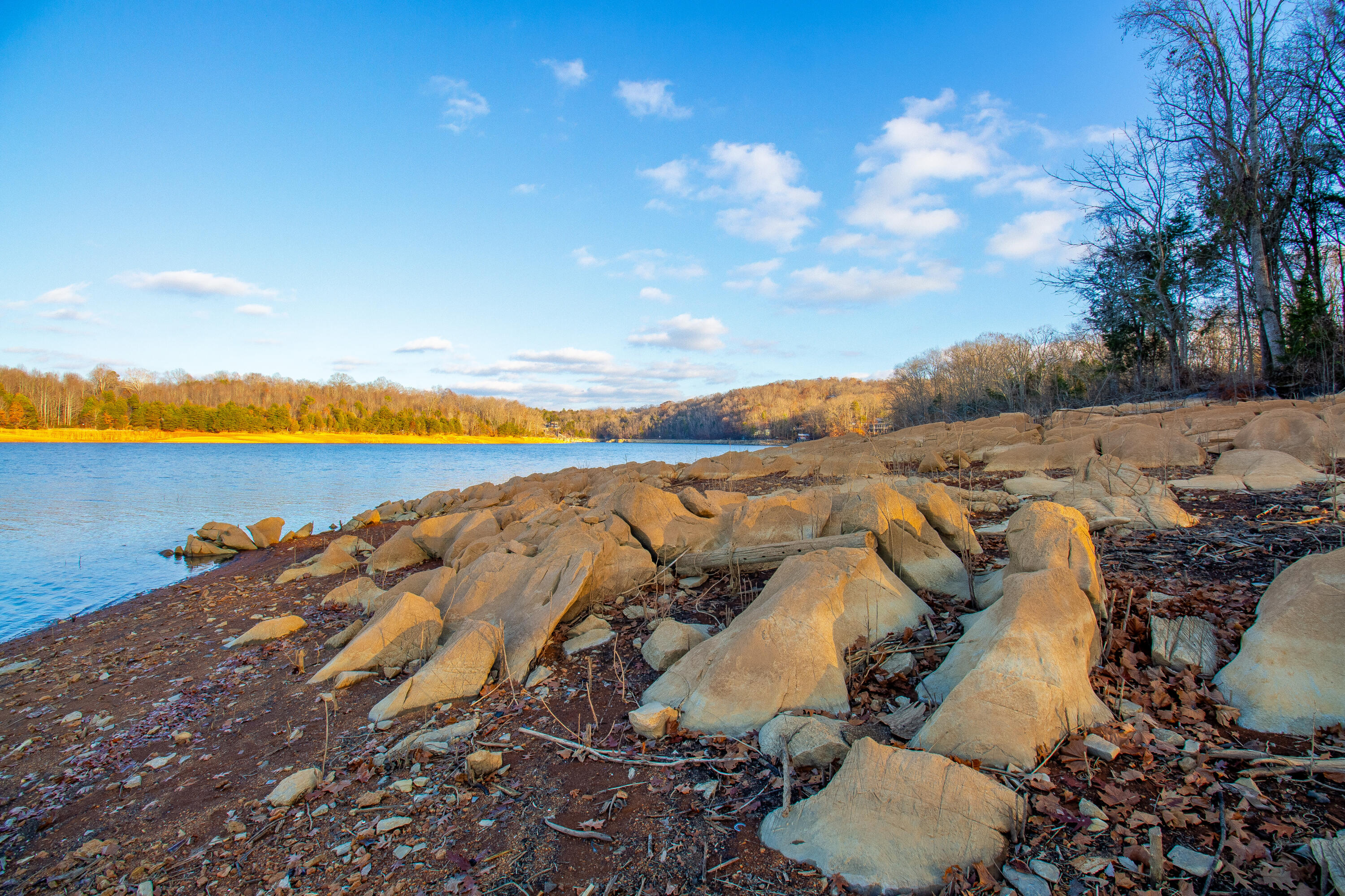 341 Haw Ridge Road Piney Flats, TN 37686 - Photo 63 of 71 IMG_6597-HDR