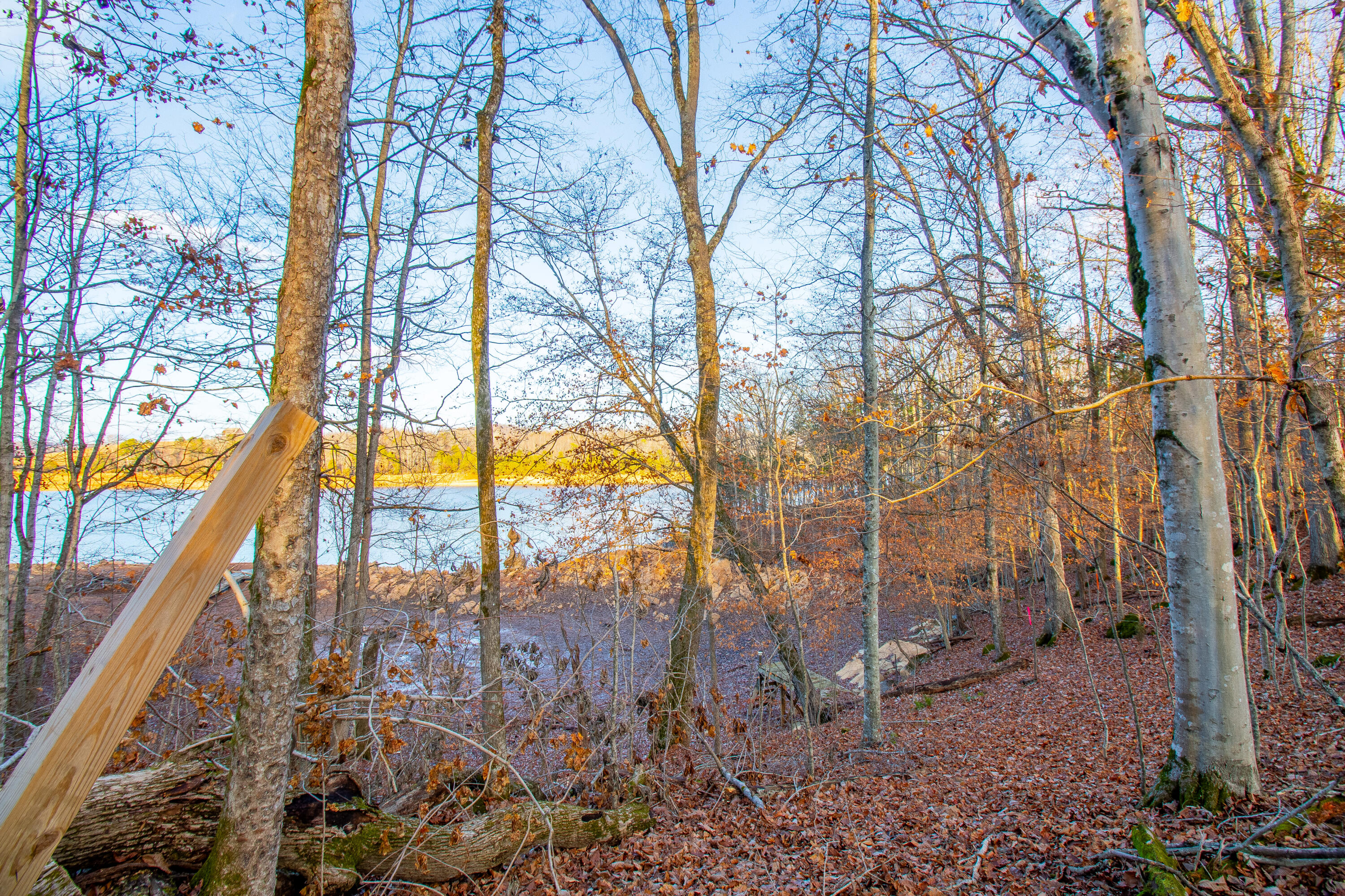 341 Haw Ridge Road Piney Flats, TN 37686 - Photo 66 of 71 IMG_6609-HDR