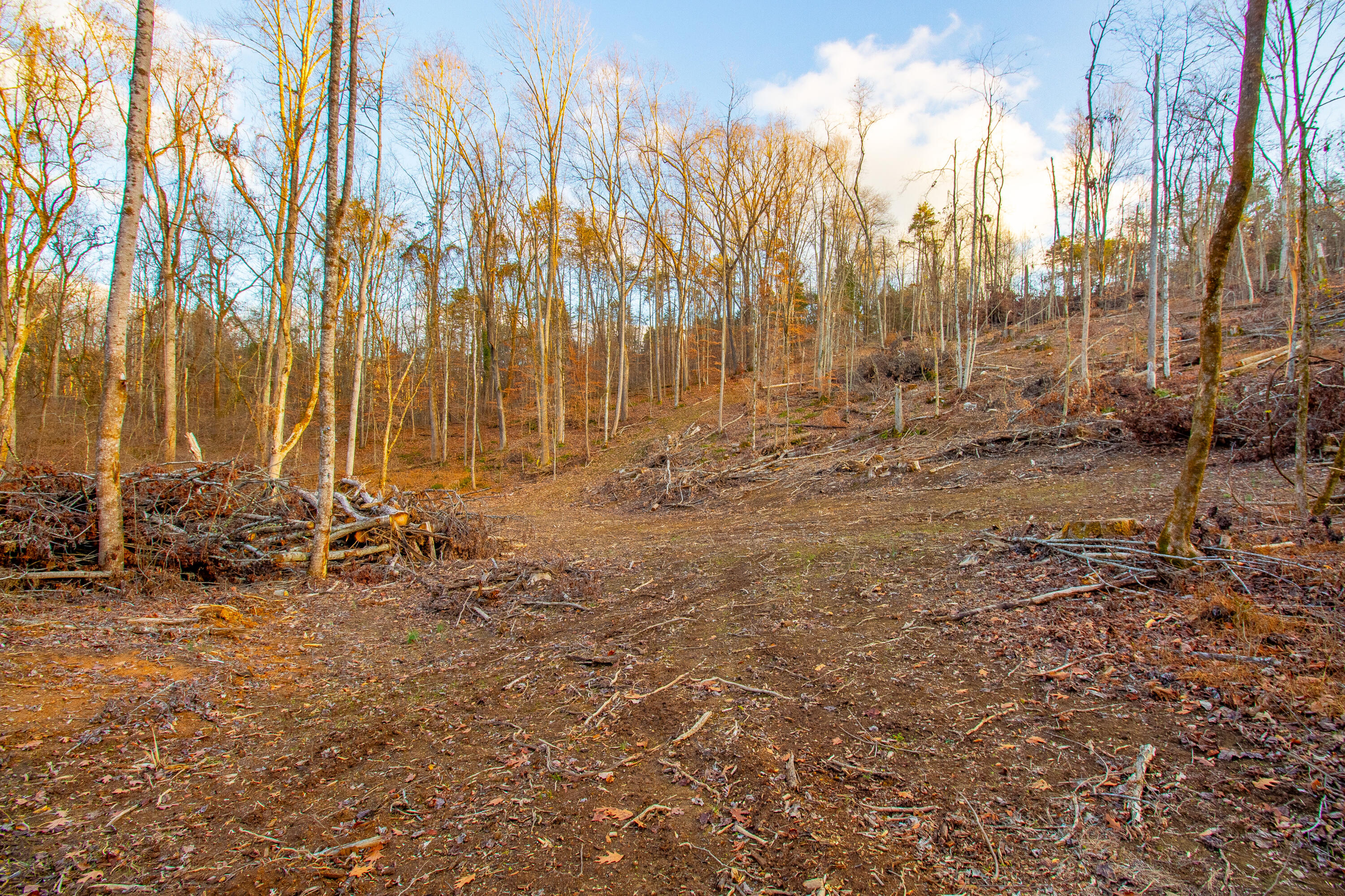341 Haw Ridge Road Piney Flats, TN 37686 - Photo 68 of 71 IMG_6636-HDR