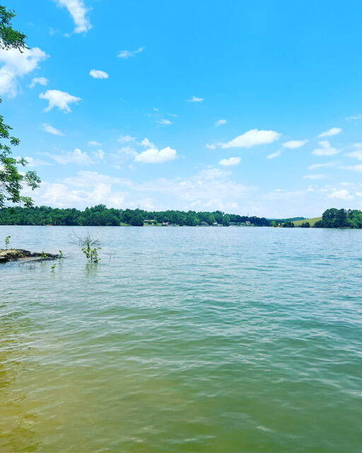 341 Haw Ridge Road Piney Flats, TN 37686 - Photo 8 of 71 Lake at summer level