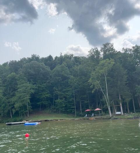 341 Haw Ridge Road Piney Flats, TN 37686 - Photo 9 of 71 View from water in summer