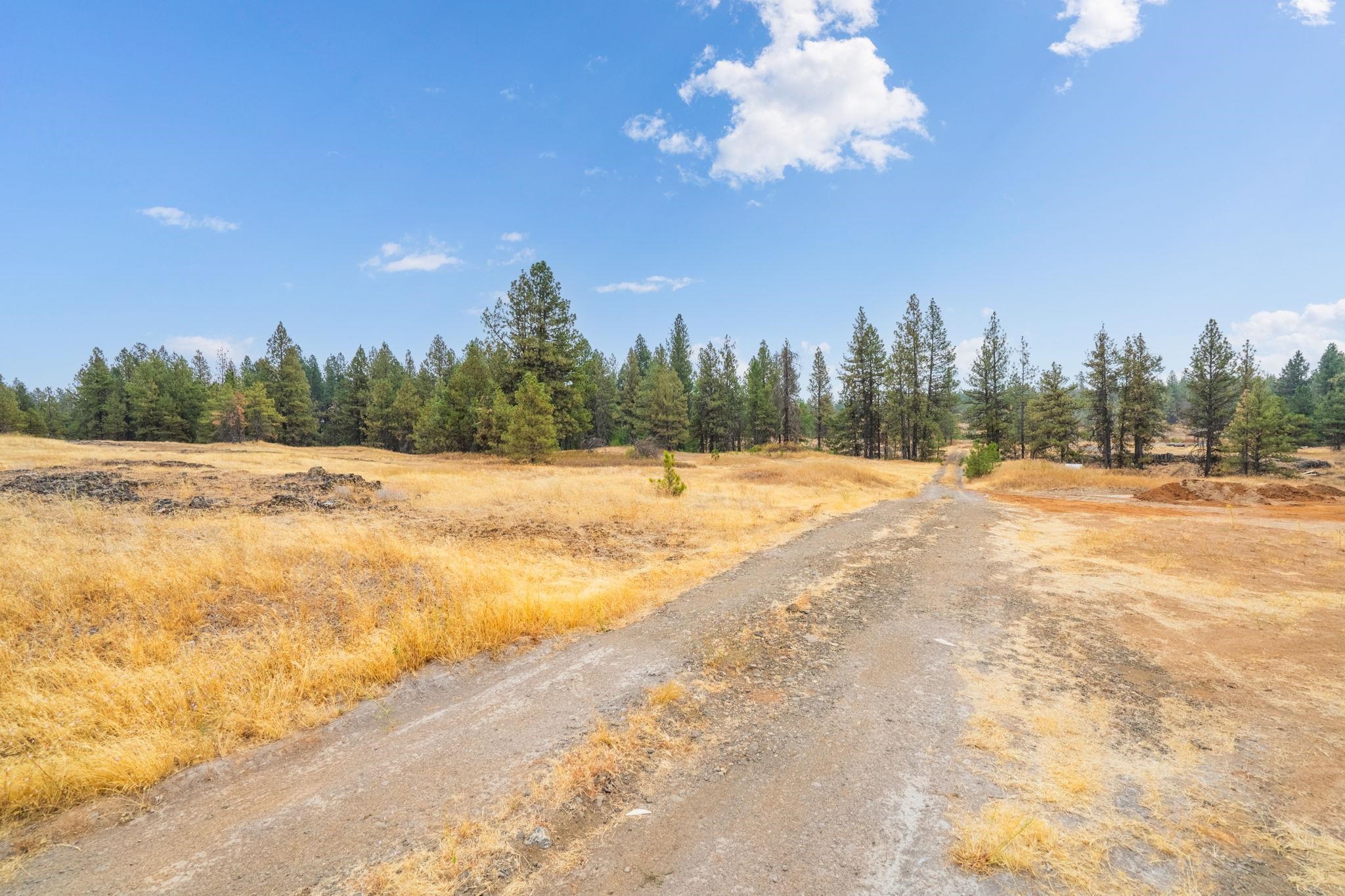 17700-blk West Williams Lake Road Cheney, WA 99004 - Photo 9 of 21