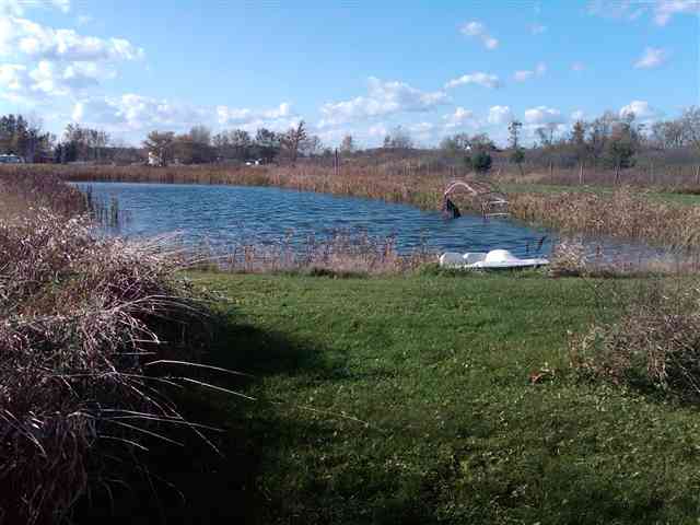 13662 Sullivan Road Capac, MI 48014 - Photo 8 of 11 This is a view of the pond.