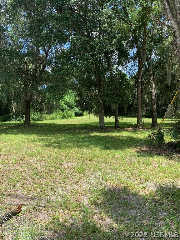 401 Ingham Road New Smyrna Beach, FL 32168 - Photo 1 of 2 a view of a park with large trees