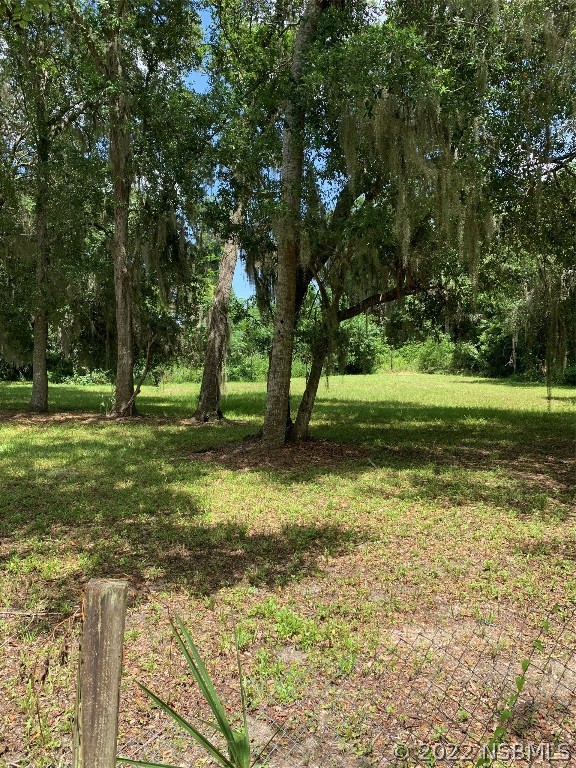 401 Ingham Road New Smyrna Beach, FL 32168 - Photo 2 of 2 a view of a trees in a park