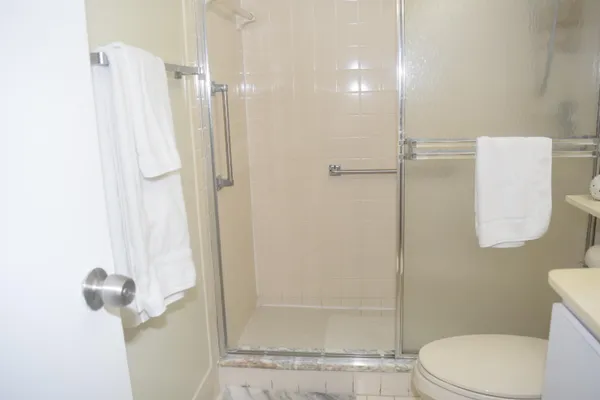 a bathroom with a shower and toilet