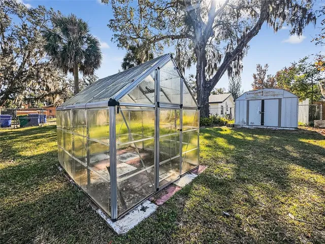 a view of a backyard with a large tree