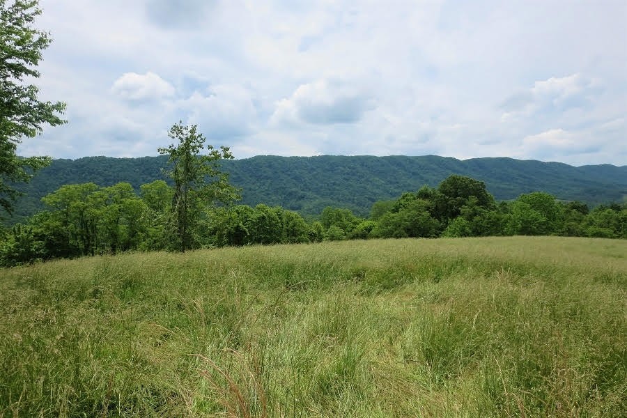 1833 Rackum Road Thorn Hill, TN 37881 - Photo 23 of 24 Gallery Image 23