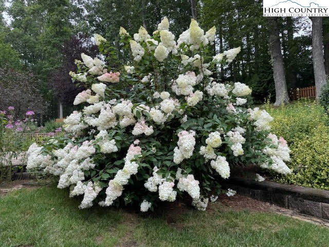 2650 Carson Woods Road Laurel Springs, NC 28644 - Photo 42 of 50 a bunch of flowers are in a garden
