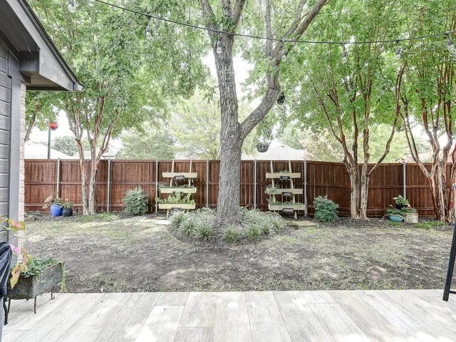a view of a backyard that has large trees and a large tree