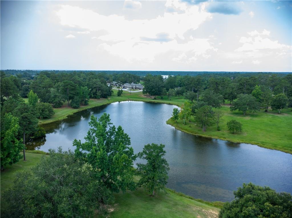 233 High Street Abita Springs, LA 70420 - Photo 3 of 41