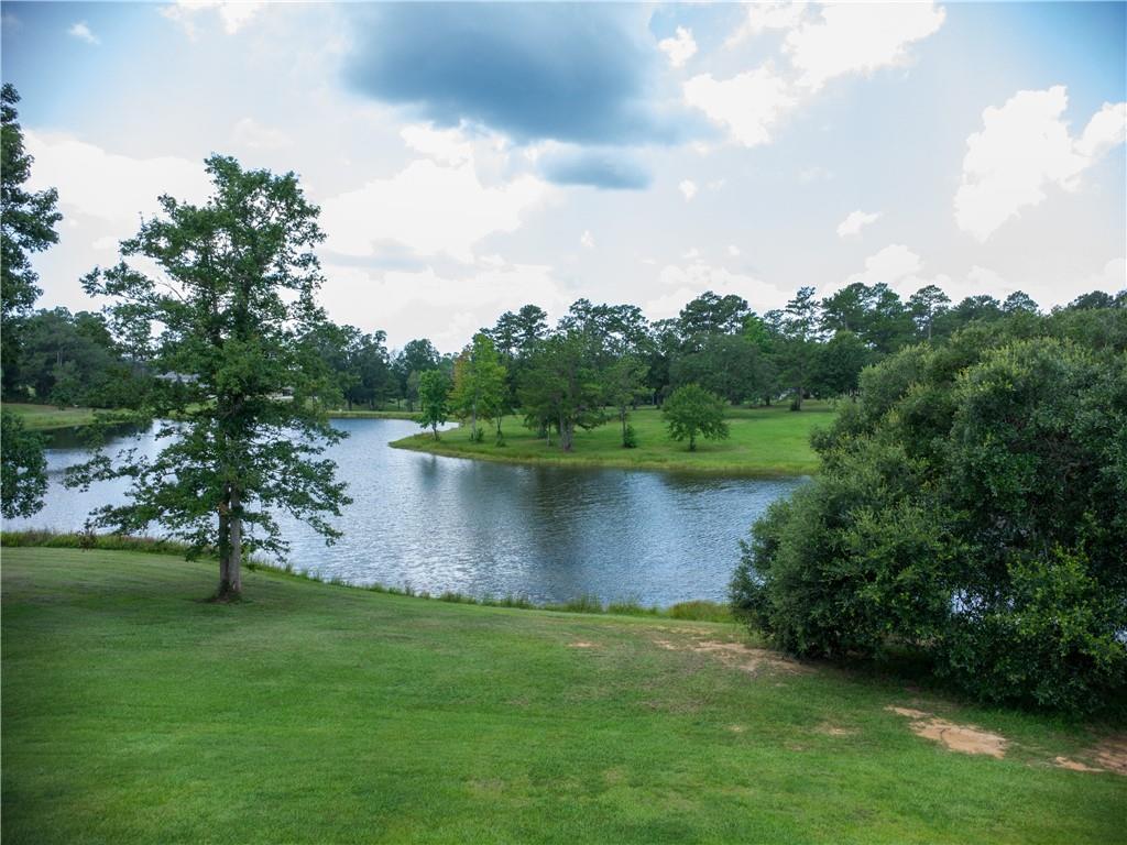 233 High Street Abita Springs, LA 70420 - Photo 37 of 41