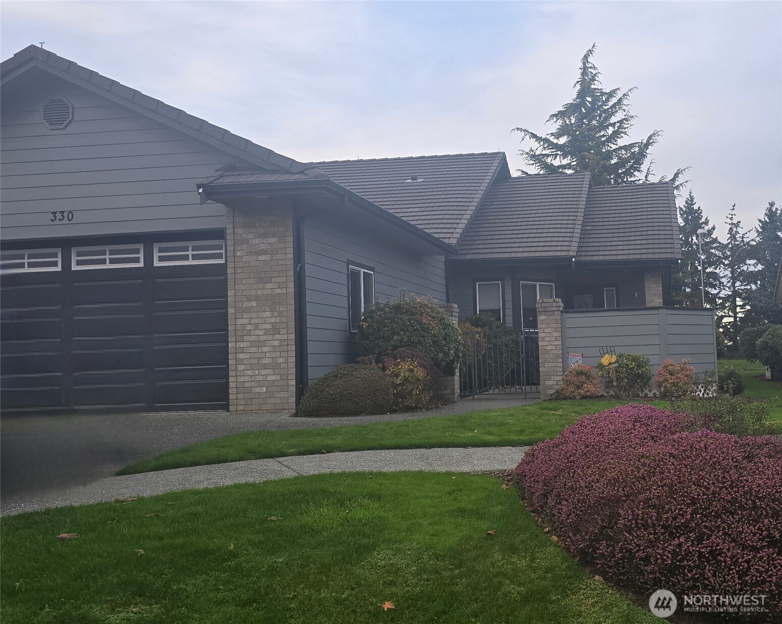a backyard of a house with plants and large tree
