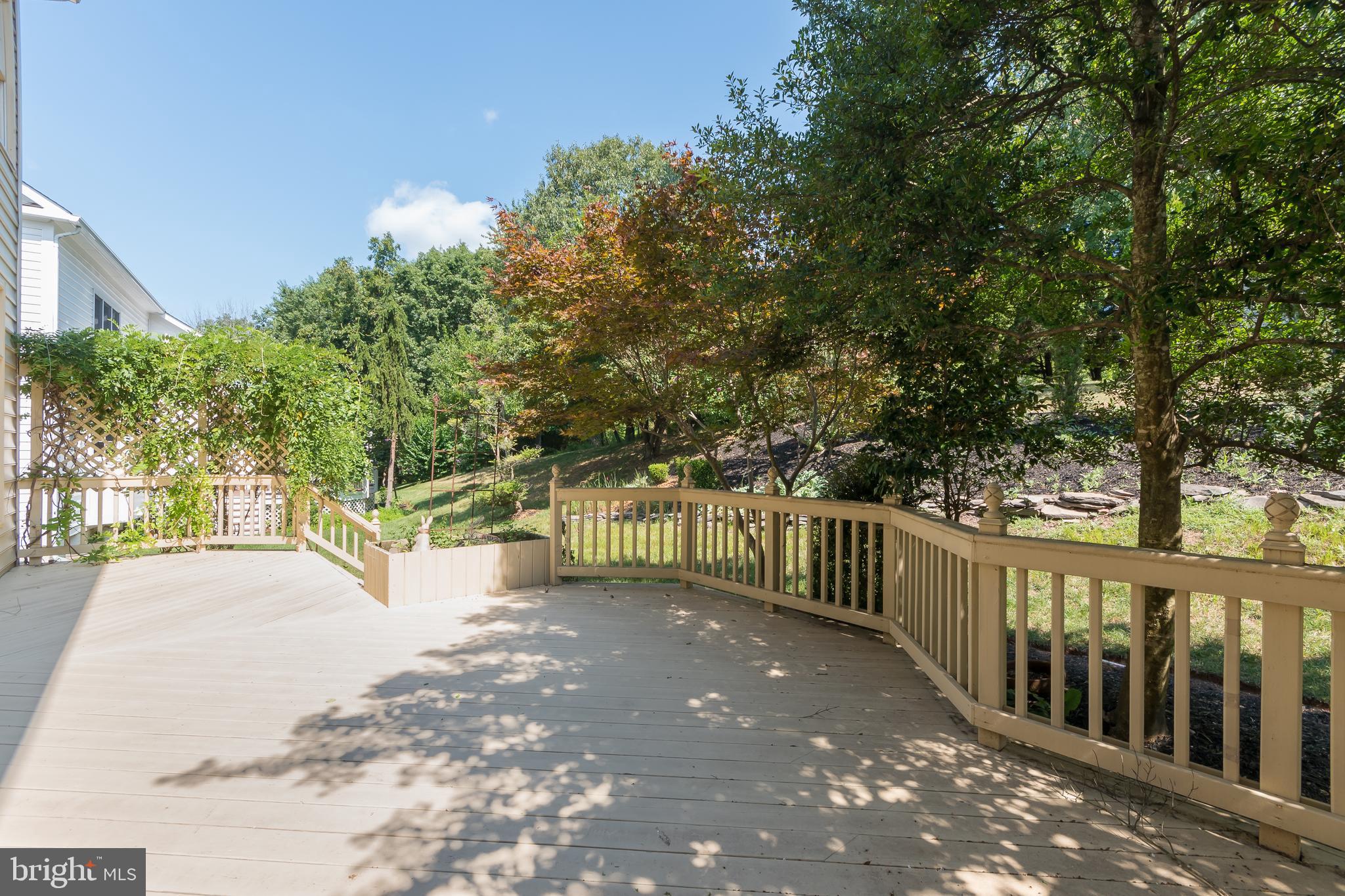 43268 Hillhead Place Leesburg, VA 20176 - Photo 8 of 53 a view of a yard with plants and trees