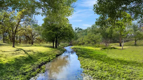 a view of a park with large trees