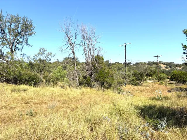 a view of a yard with a tree