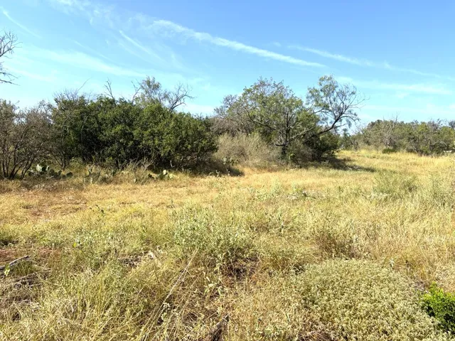 a view of a yard with wooden fence
