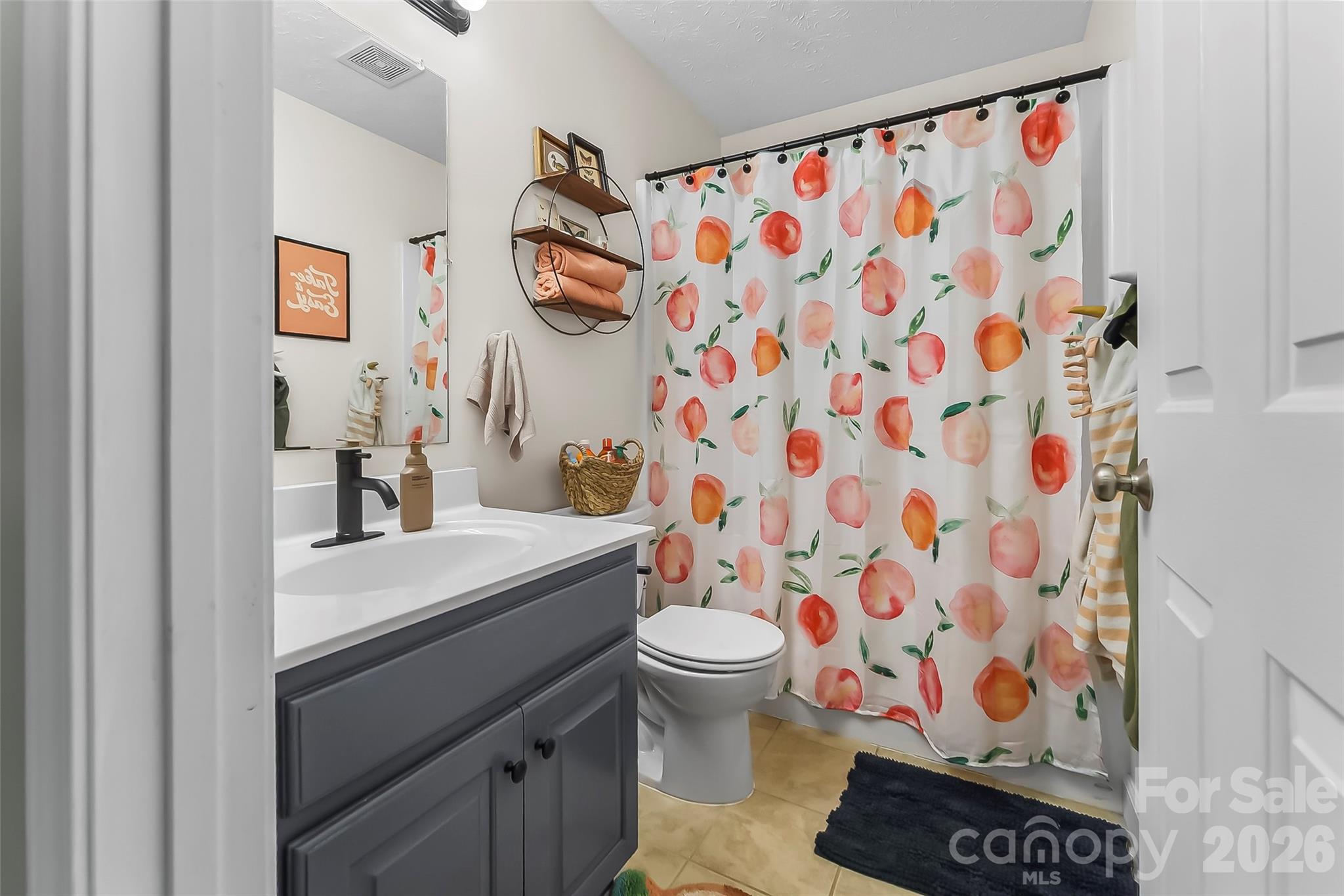 1498 Salem Road Morganton, NC 28655 - Photo 21 of 32 a bathroom with a sink and a mirror