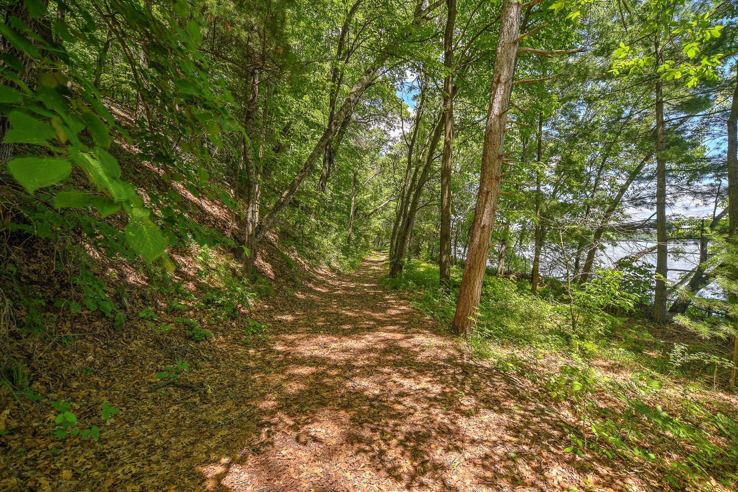 27722 Yellow Lake Road Webster, WI 54893 - Photo 31 of 35