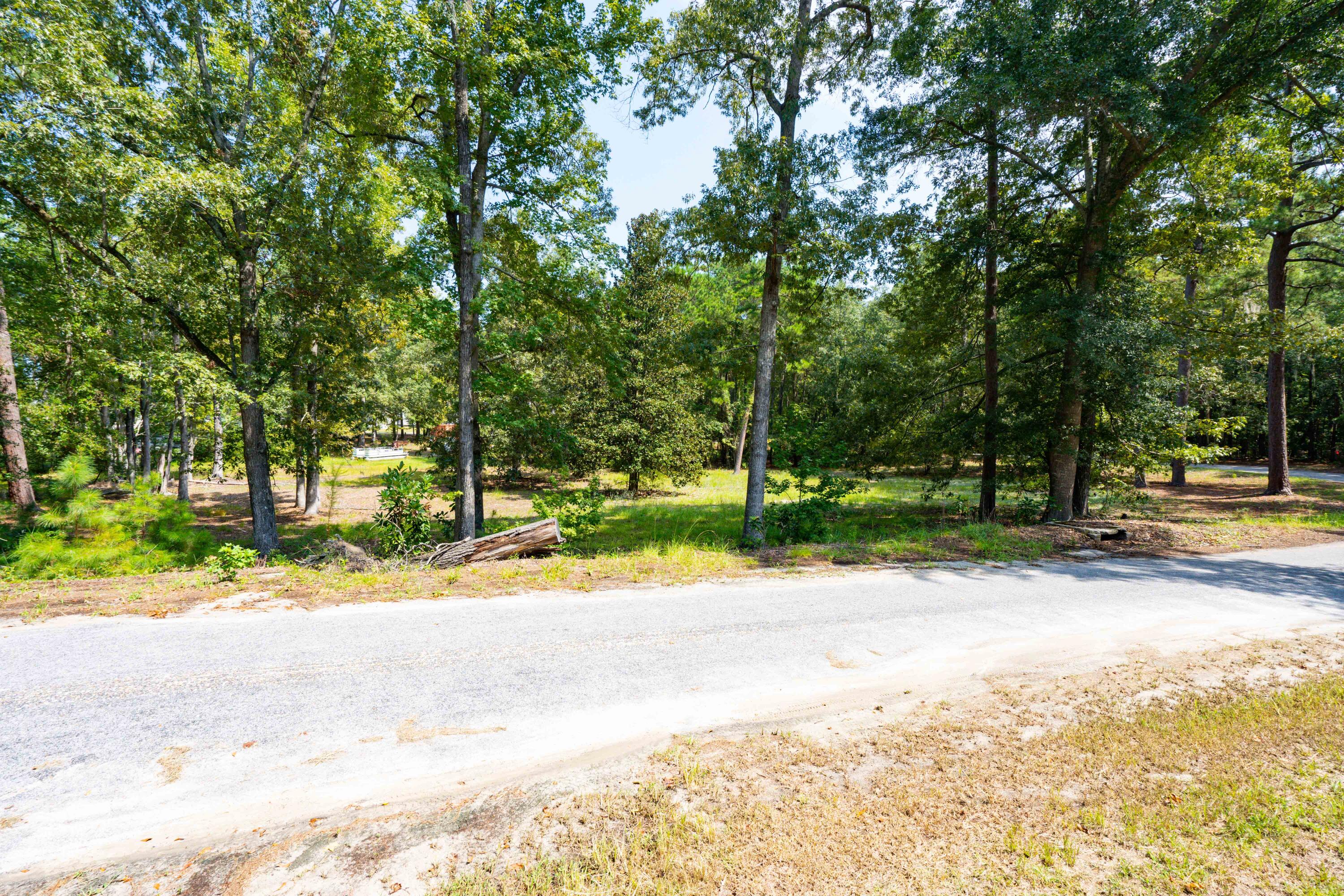 0 Delano Street Manning, SC 29102 - Photo 22 of 26 EYE00002