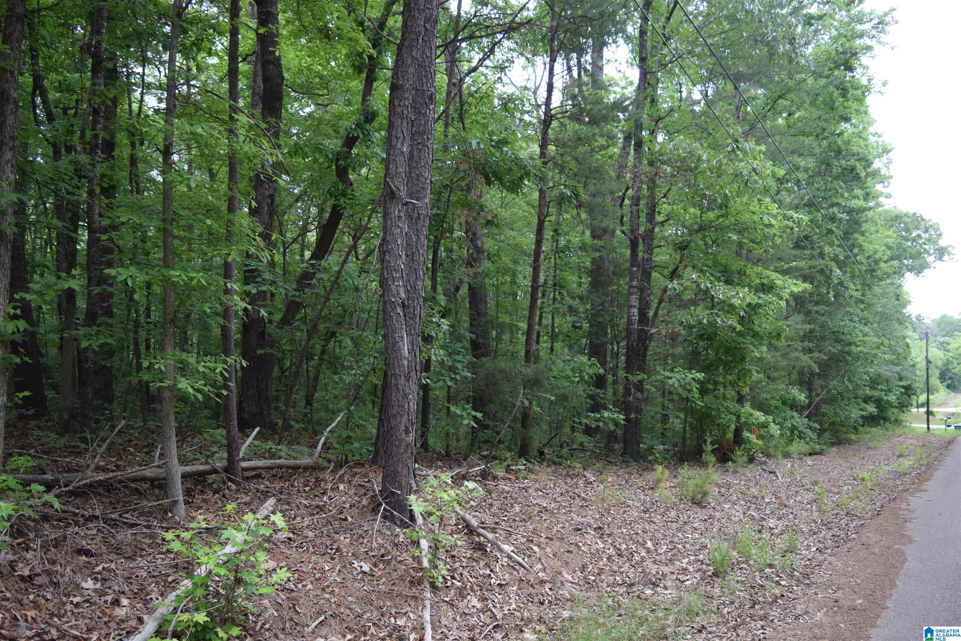 20112 Calhoun Road McCalla, AL 35111 - Photo 31 of 31 Gallery Image 31