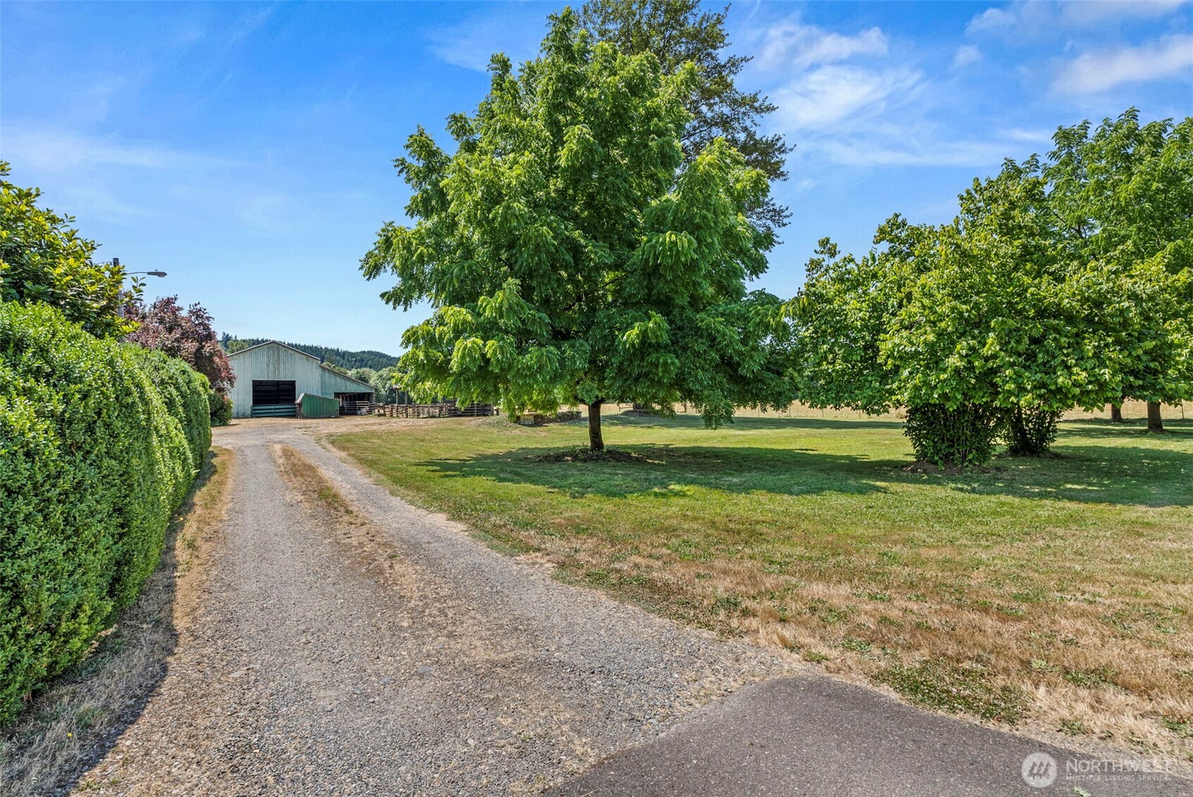 150 Howanut Road Oakville, WA 98568 - Photo 7 of 40 Gallery Image 7