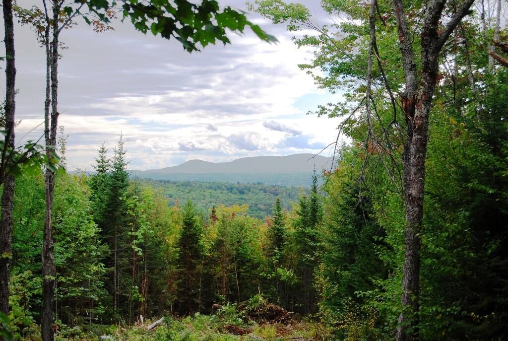Lot 7 Alpine Ridge Greenville, ME 04441 - Photo 8 of 14 Lot 7 Left