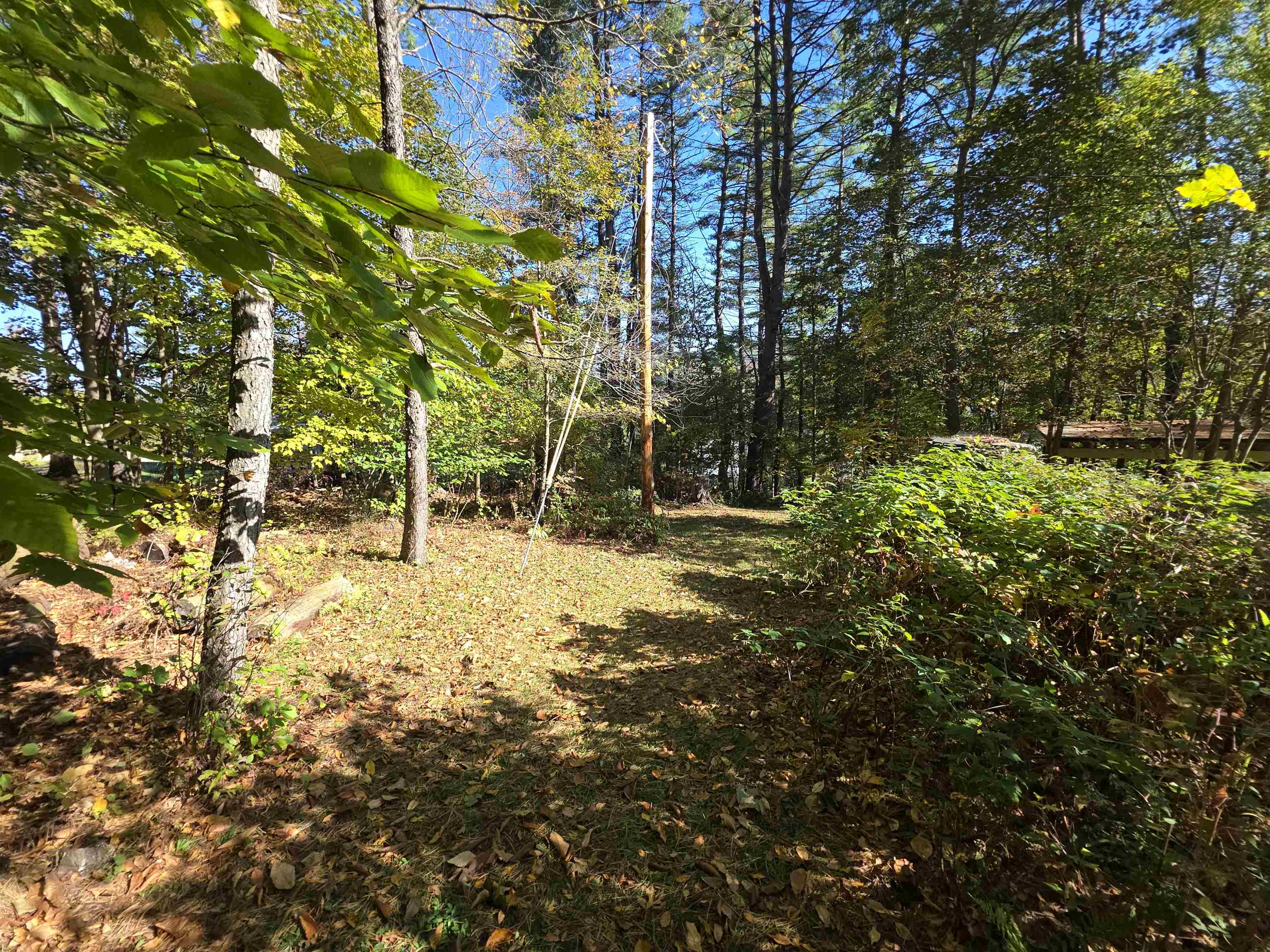 15 Frederic Street Springfield, VT 05156 - Photo 16 of 44