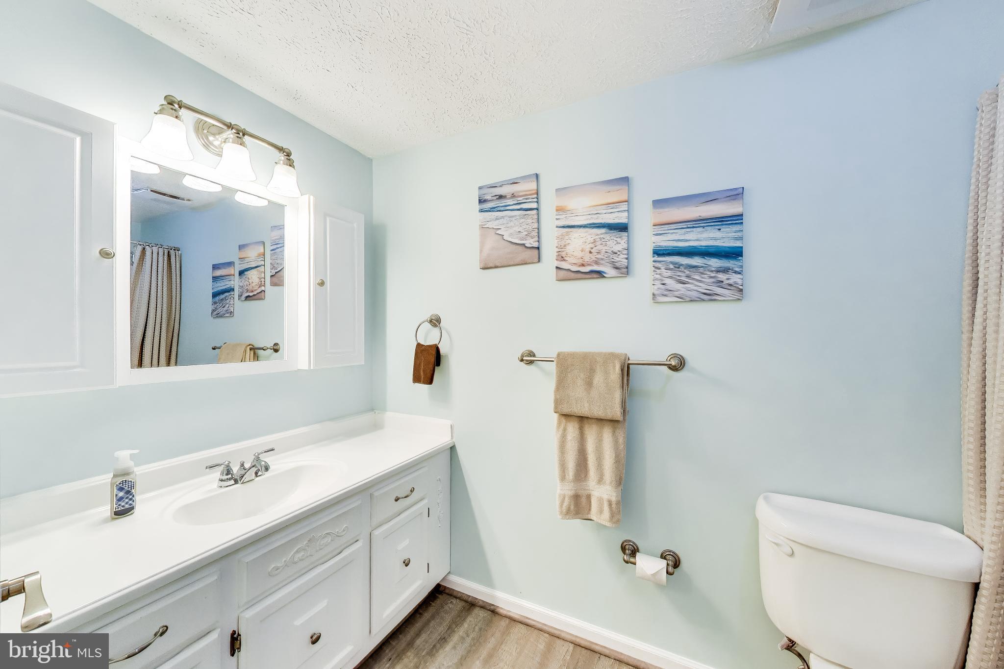 8404 Chillum Court Springfield, VA 22153 - Photo 27 of 56 Serene coastal-themed bathroom retreat.
