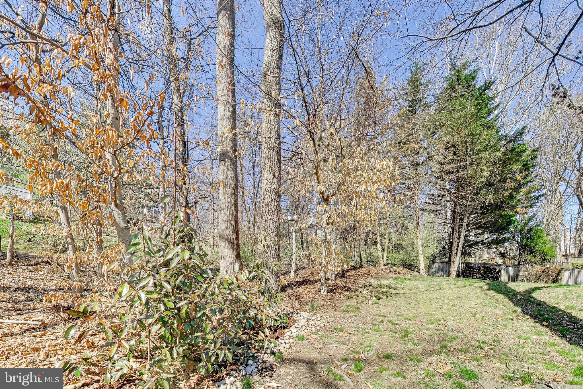 8404 Chillum Court Springfield, VA 22153 - Photo 55 of 56 Serene woodland retreat awaits you.