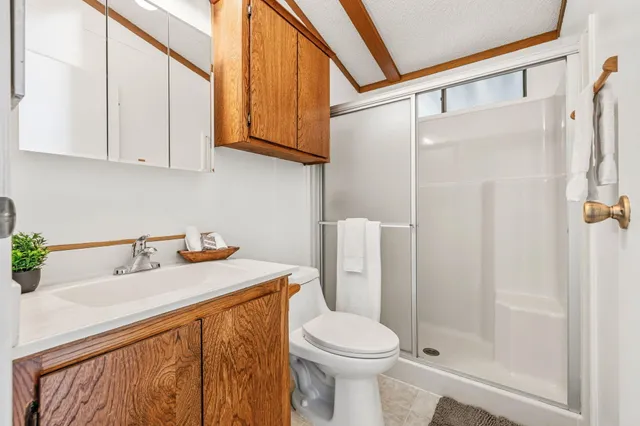 a bathroom with a sink a toilet and shower