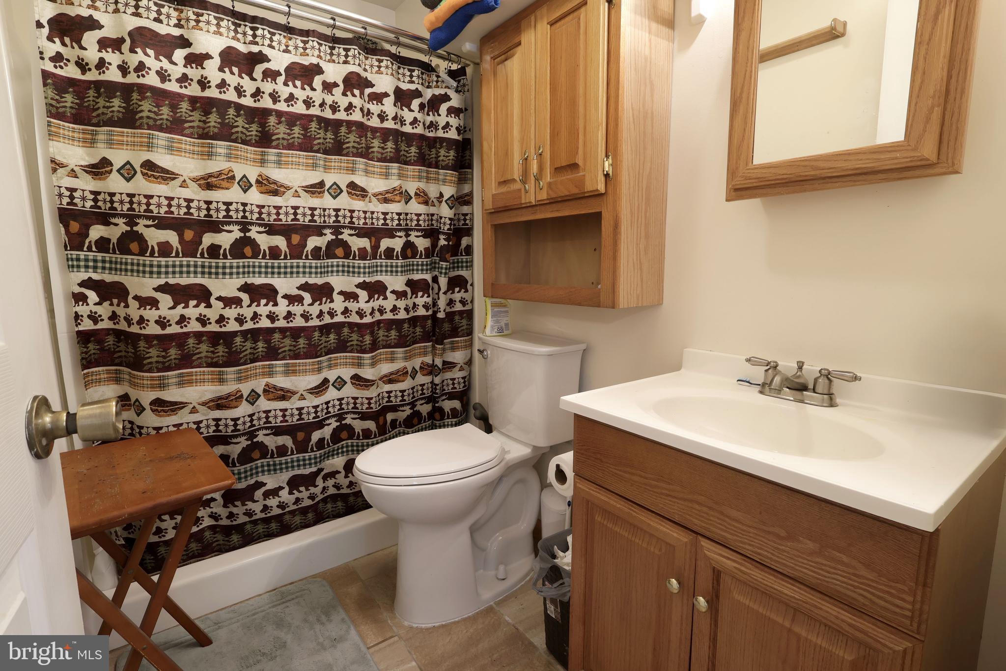 358 Buckridge Road Howard, PA 16841 - Photo 18 of 40 a bathroom with a sink a toilet and a mirror