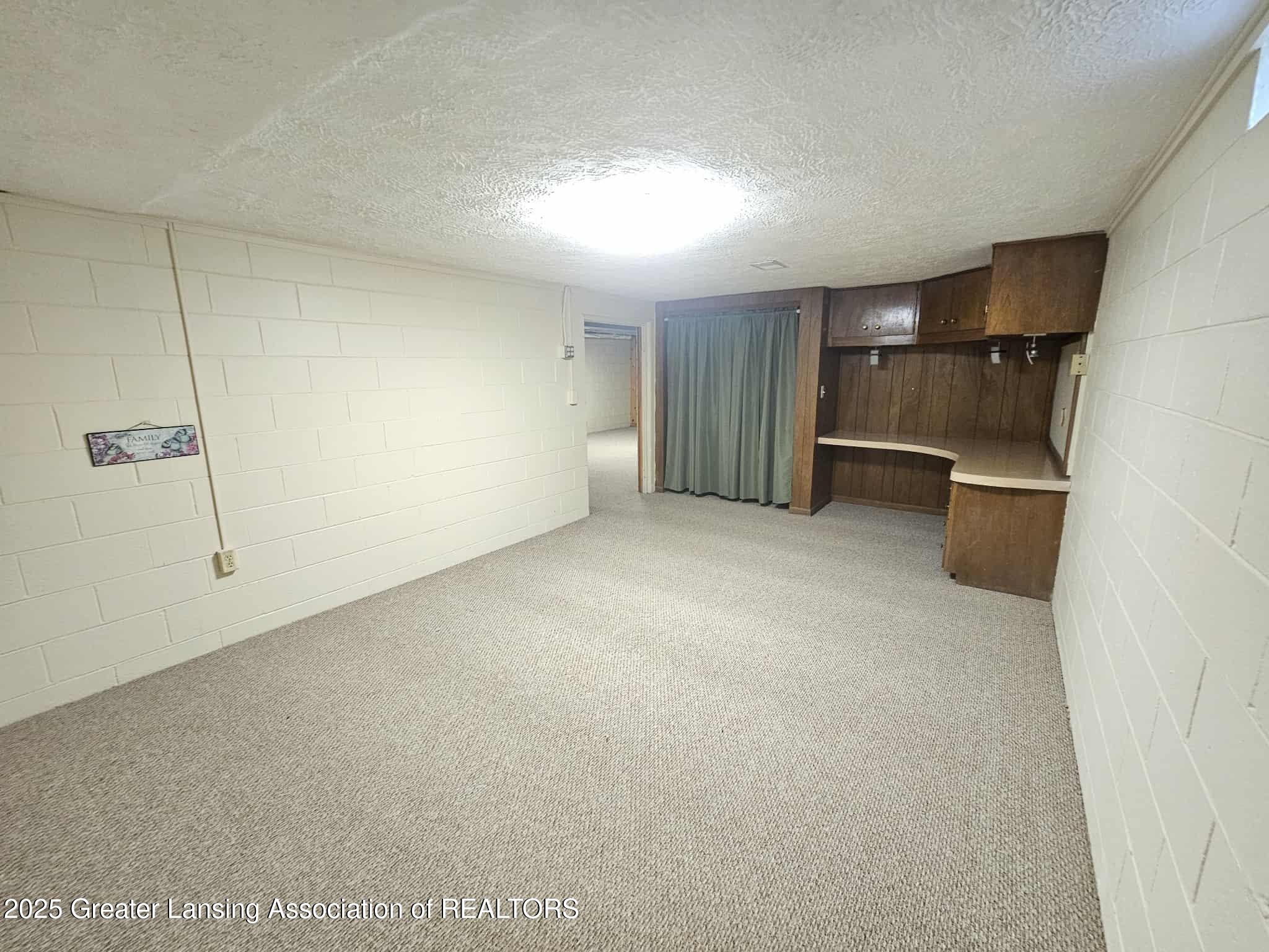 101 Rancho Street Eaton Rapids, MI 48827 - Photo 24 of 34 Lower Level Office b