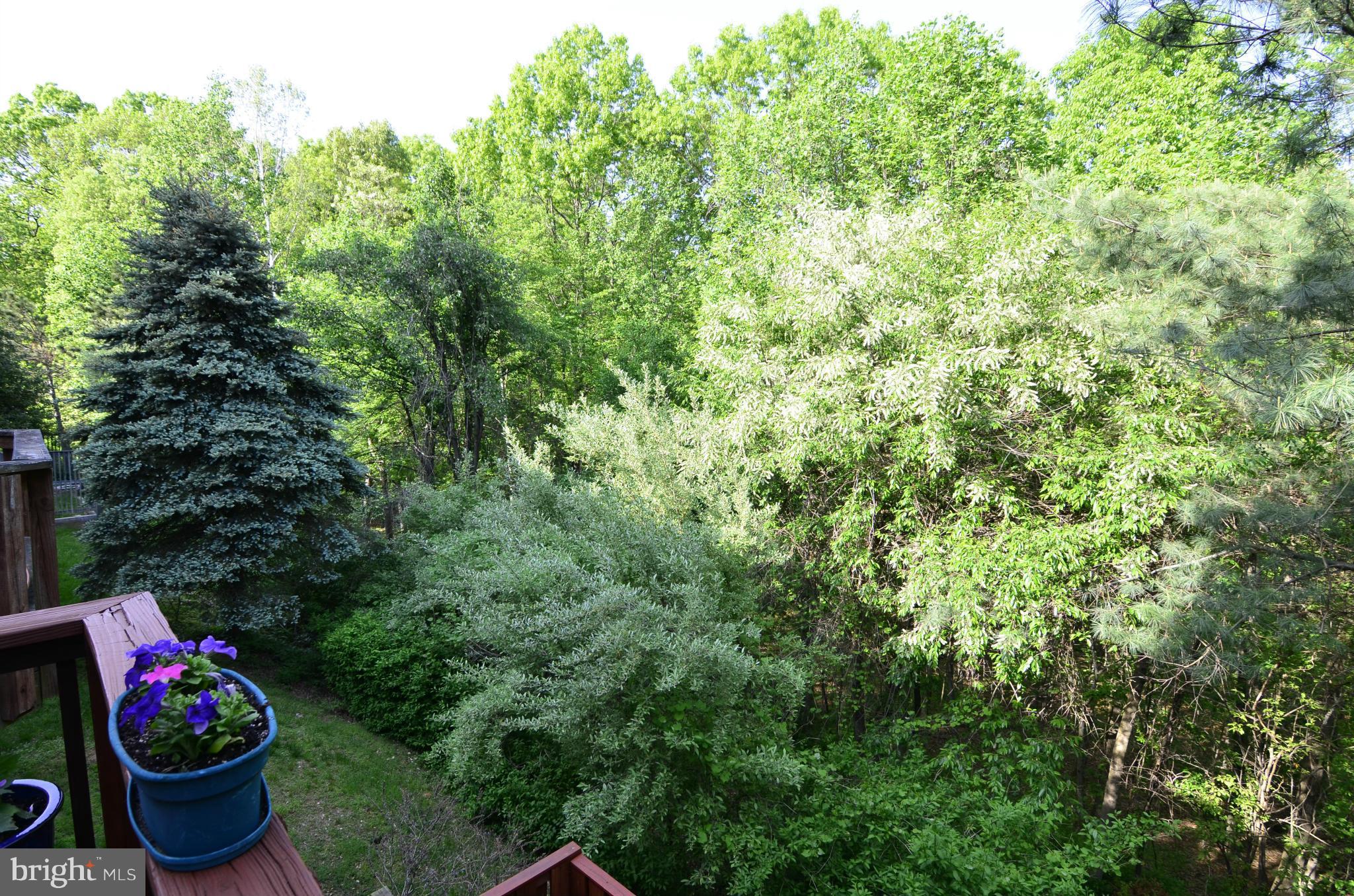 11924 Sentinel Point Court Reston, VA 20191 - Photo 11 of 30 View
