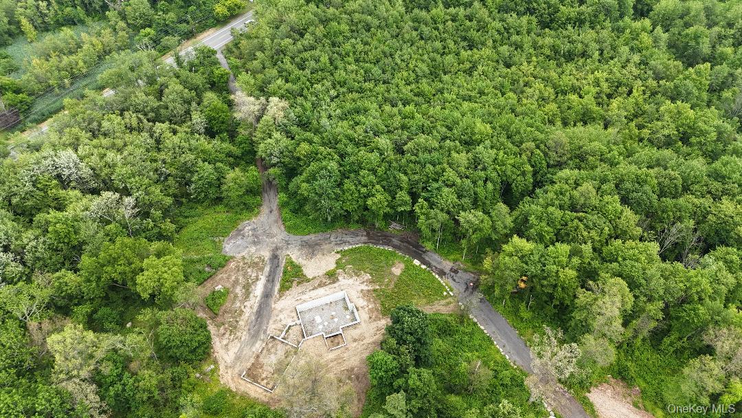 1784 Highway 52 Fishkill, NY 12524 - Photo 3 of 3 a view of a forest with a tree