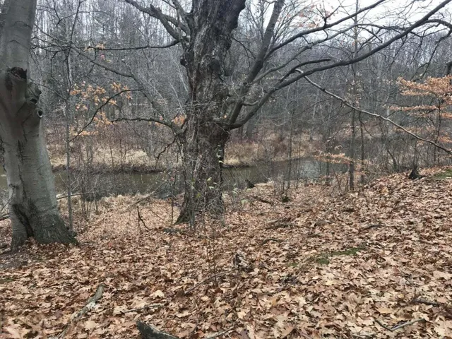 $47,900 | 12923 Riverview Drive, Gowen, MI 49326