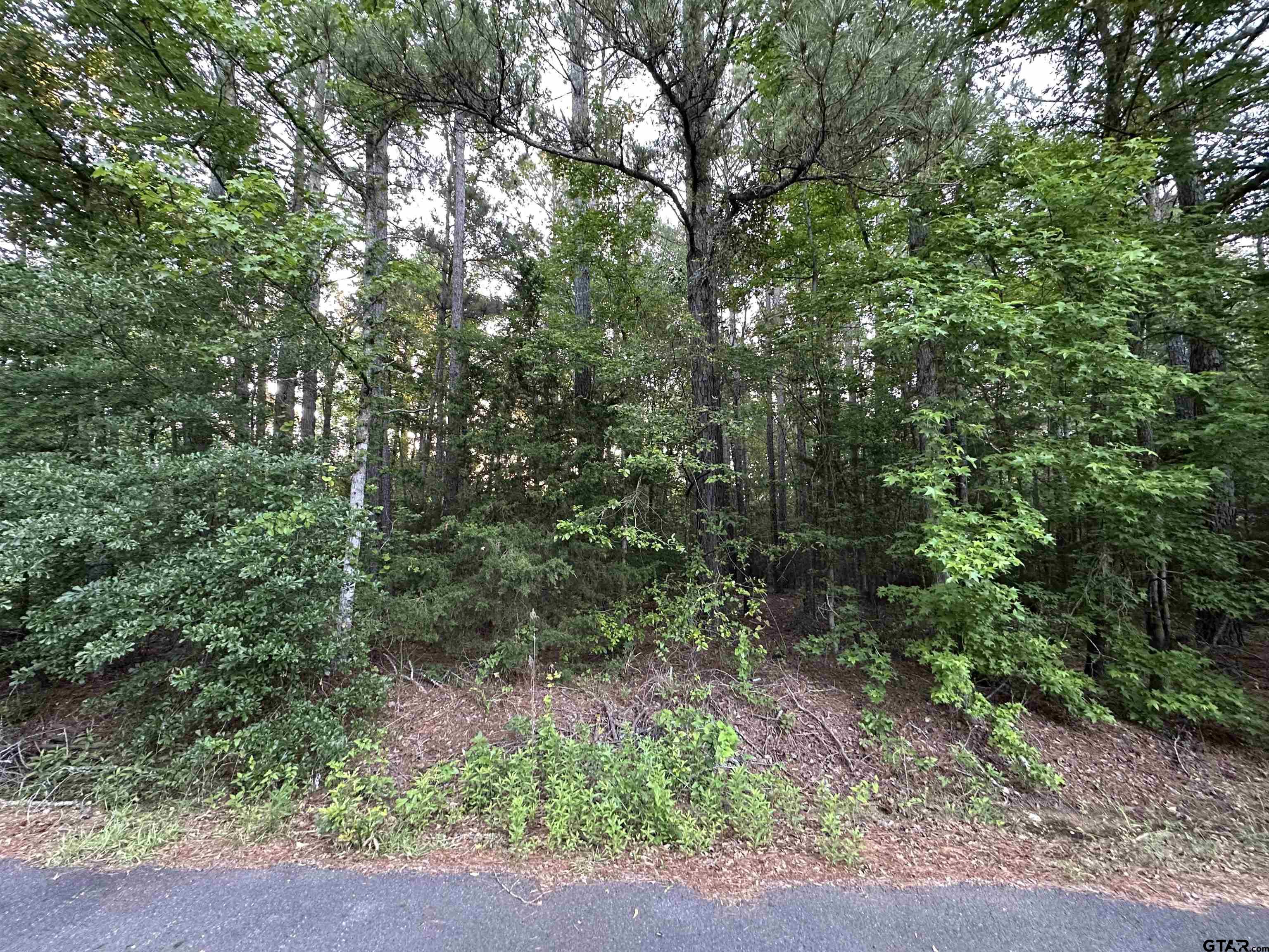 Tbd South Easy Street Rusk, TX 75785 - Photo 2 of 20 a view of a forest with trees