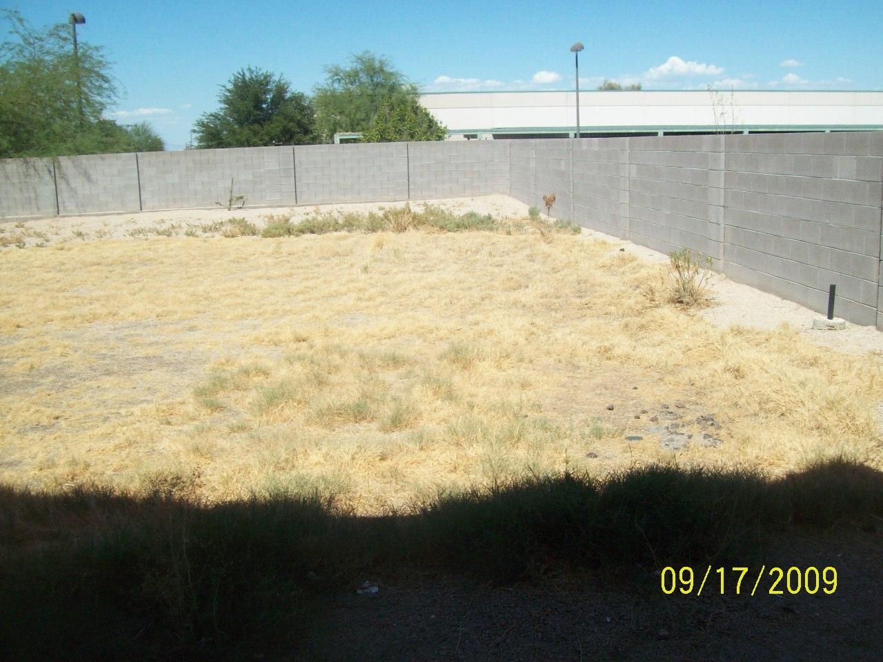 712 East Carson Road Phoenix, AZ 85042 - Photo 3 of 8 backyard