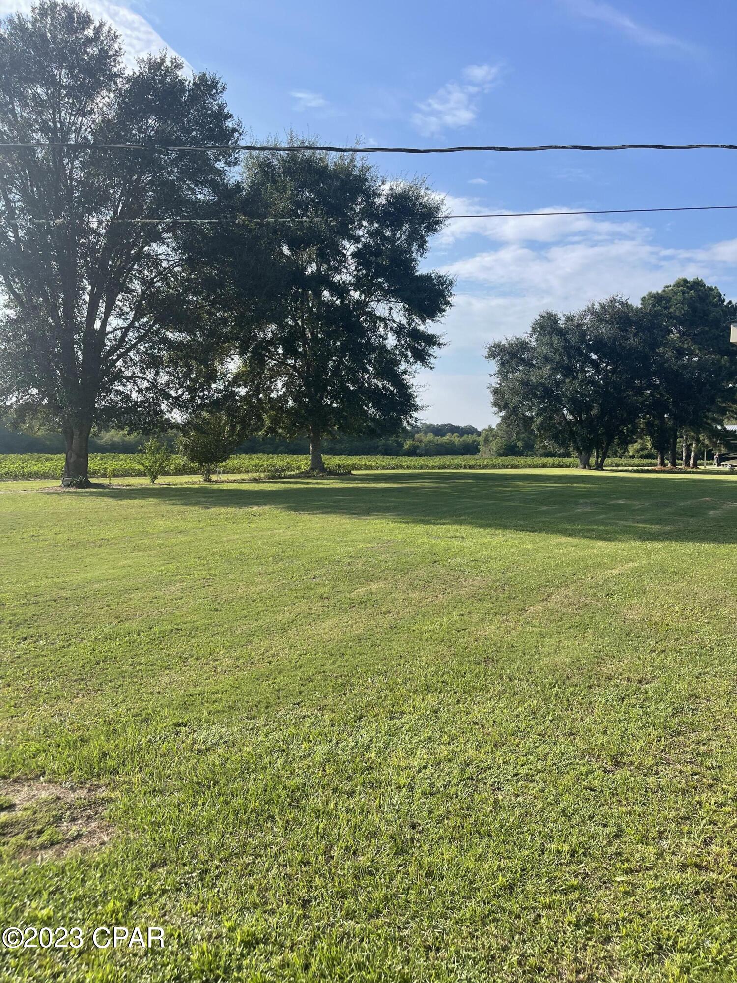 4653 Smokey Road Graceville, FL 32440 - Photo 9 of 29 Gallery Image 9