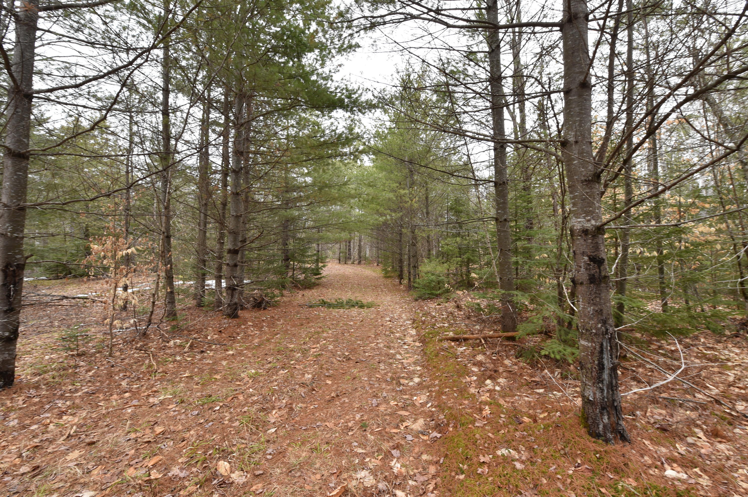 267 Old County Road New Portland, ME 04961 - Photo 44 of 53 DSC_5596