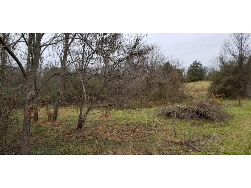125 Leonard Road Telford, TN 37690 - Photo 2 of 8 Photo 2