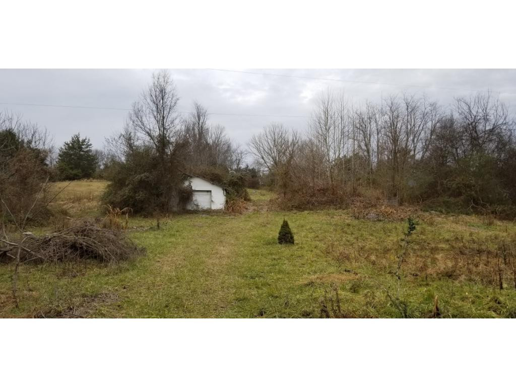 125 Leonard Road Telford, TN 37690 - Photo 3 of 8 Photo 3