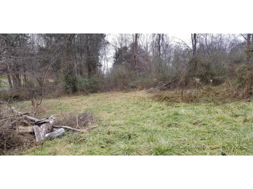 125 Leonard Road Telford, TN 37690 - Photo 6 of 8 Photo 6
