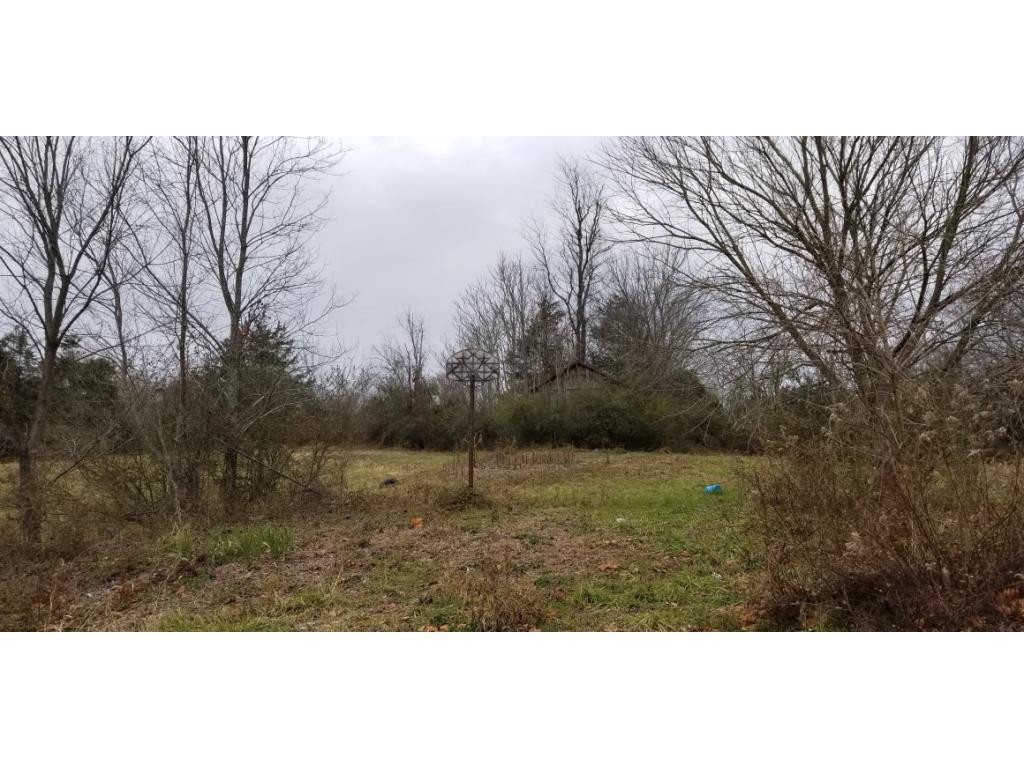 125 Leonard Road Telford, TN 37690 - Photo 7 of 8 Photo 7