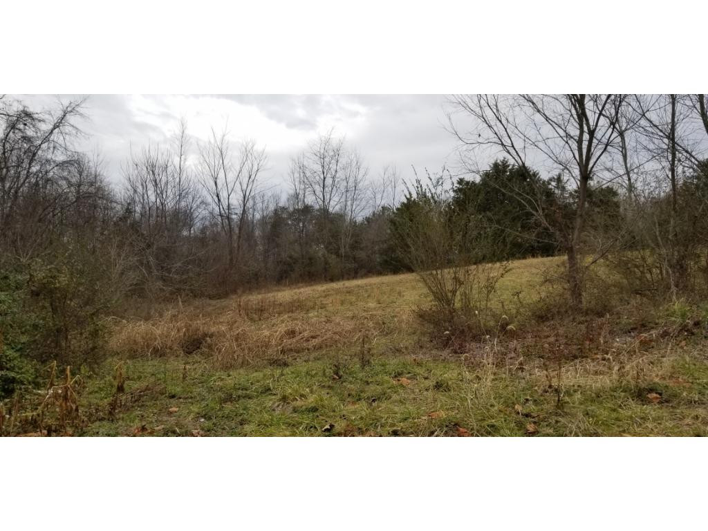 125 Leonard Road Telford, TN 37690 - Photo 8 of 8 Photo 8