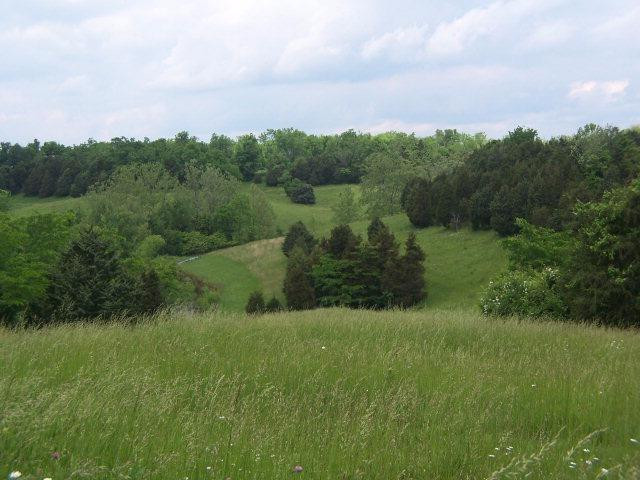1773 Guynn Road Paint Lick, KY 40461 - Photo 1 of 7 Photo 1