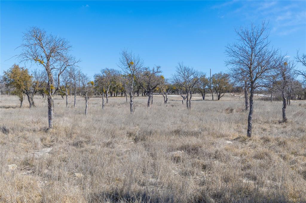 975 Deep Water Road May, TX 76857 - Photo 7 of 27 a view of dirt yard with a tree