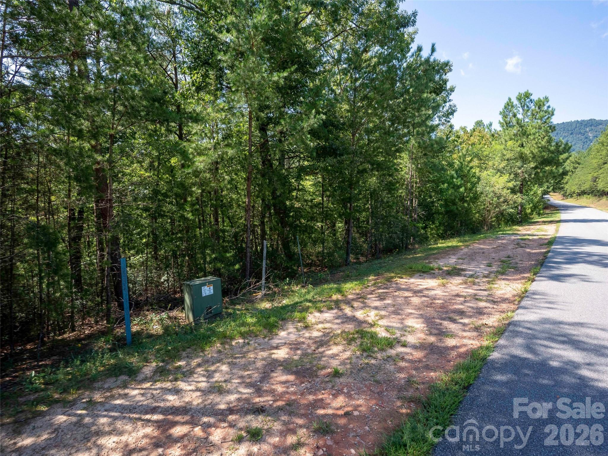 0 Deep Gap Farm Road East, Unit 2007 Mill Spring, NC 28756 - Photo 4 of 11 Gallery Image 4